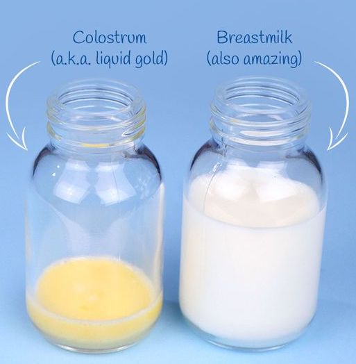 Colostrum--The True Super Food